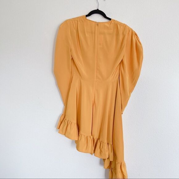 pushBUTTON Silk Dress  - Picture 10 of 12
